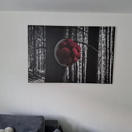 Kienzler's Zeitwerk Apartmán Schonach im Schwarzwald